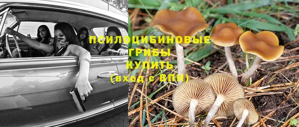 Альфа ПВП Алексин