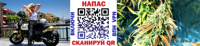 Конопля Bruce Banner  shop какой сайт  Королёв  где купить наркотик 